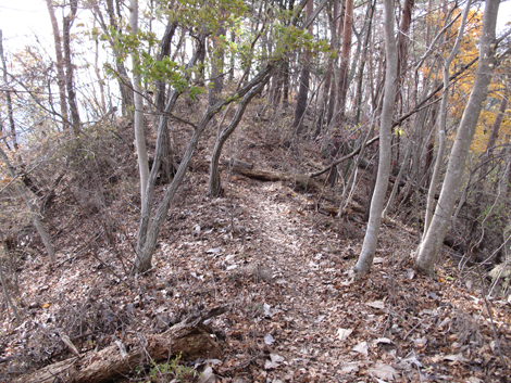 20181126hike (161)